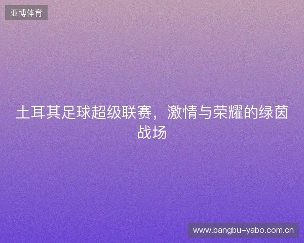 土耳其足球超级联赛，激情与荣耀的绿茵战场